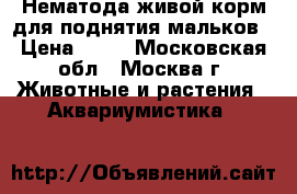 Нематода-живой корм для поднятия мальков › Цена ­ 50 - Московская обл., Москва г. Животные и растения » Аквариумистика   